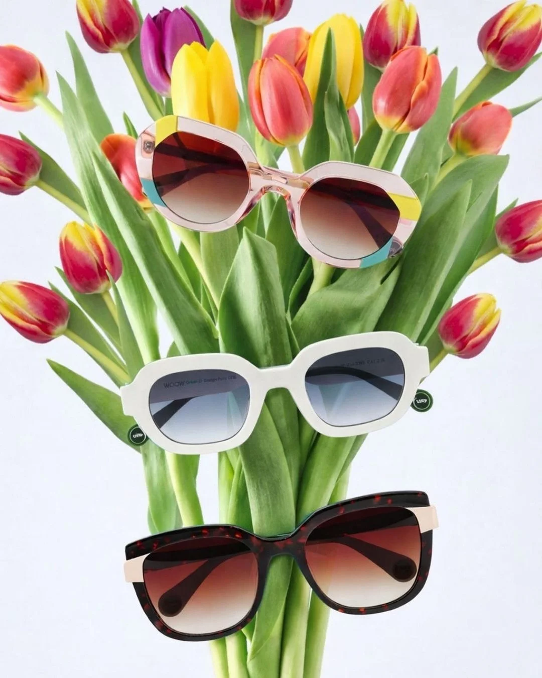 🌷 Bl&uuml;h auf &ndash; mit WOW-Effekt! 😎

Diese Sonnenbrillen von WOOW Eyewear bringen Farbe in deinen Fr&uuml;hling &ndash; mutig, modern und mit ganz viel Pers&ouml;nlichkeit. Ob soft und hell, verspielt mit Farbakzenten oder markant im Statemen