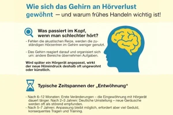 🧠 Wie sich das Gehirn an Hörverlust gewöhnt – und warum frühes Handeln entscheidend ist!