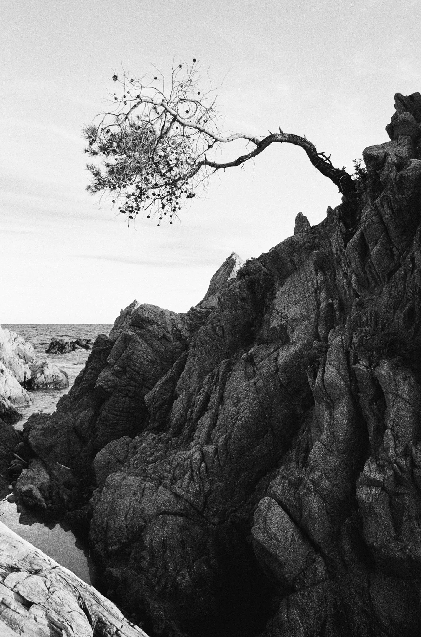 Lloret De Mar 5.jpg