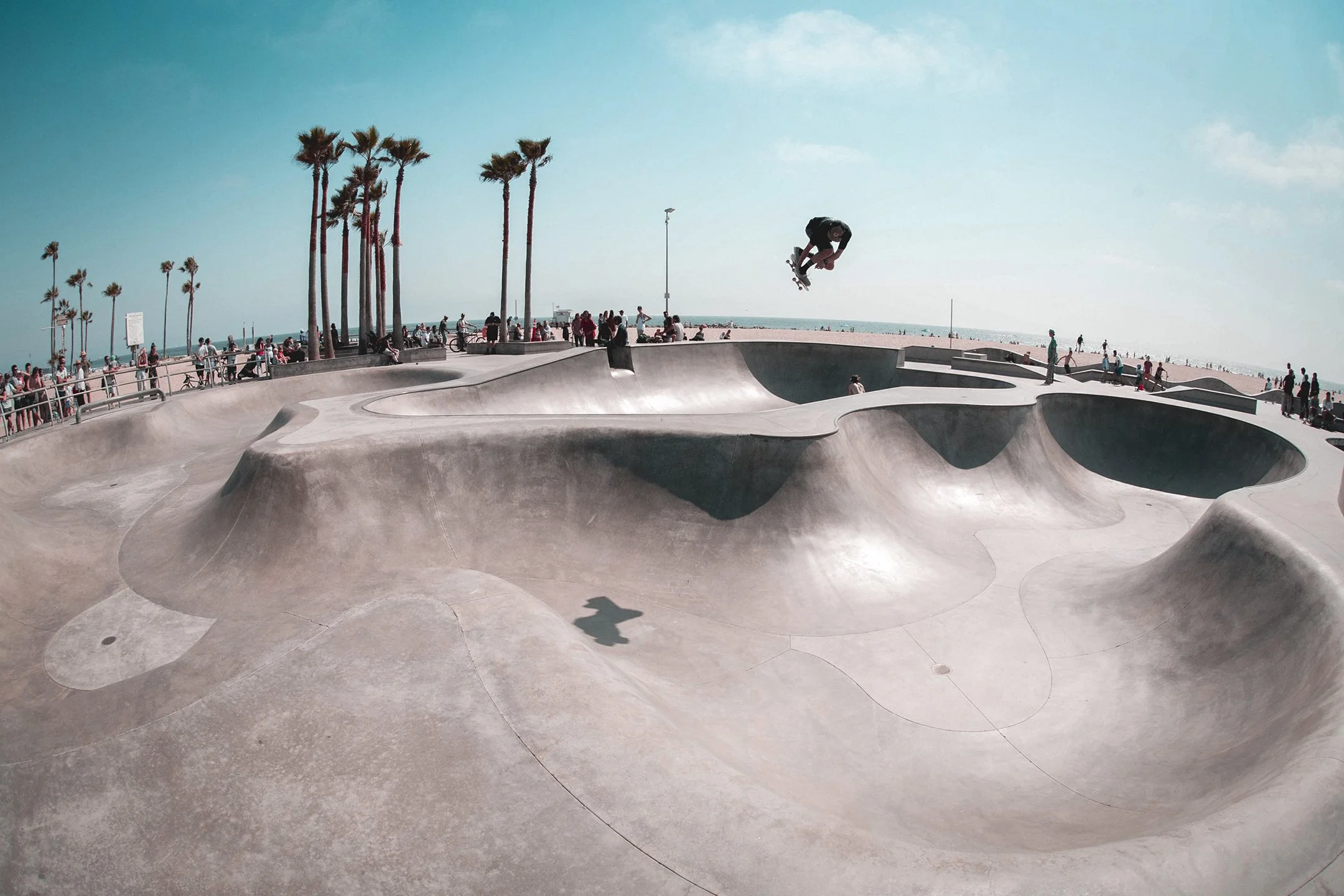 Santa Monica Skate.jpg