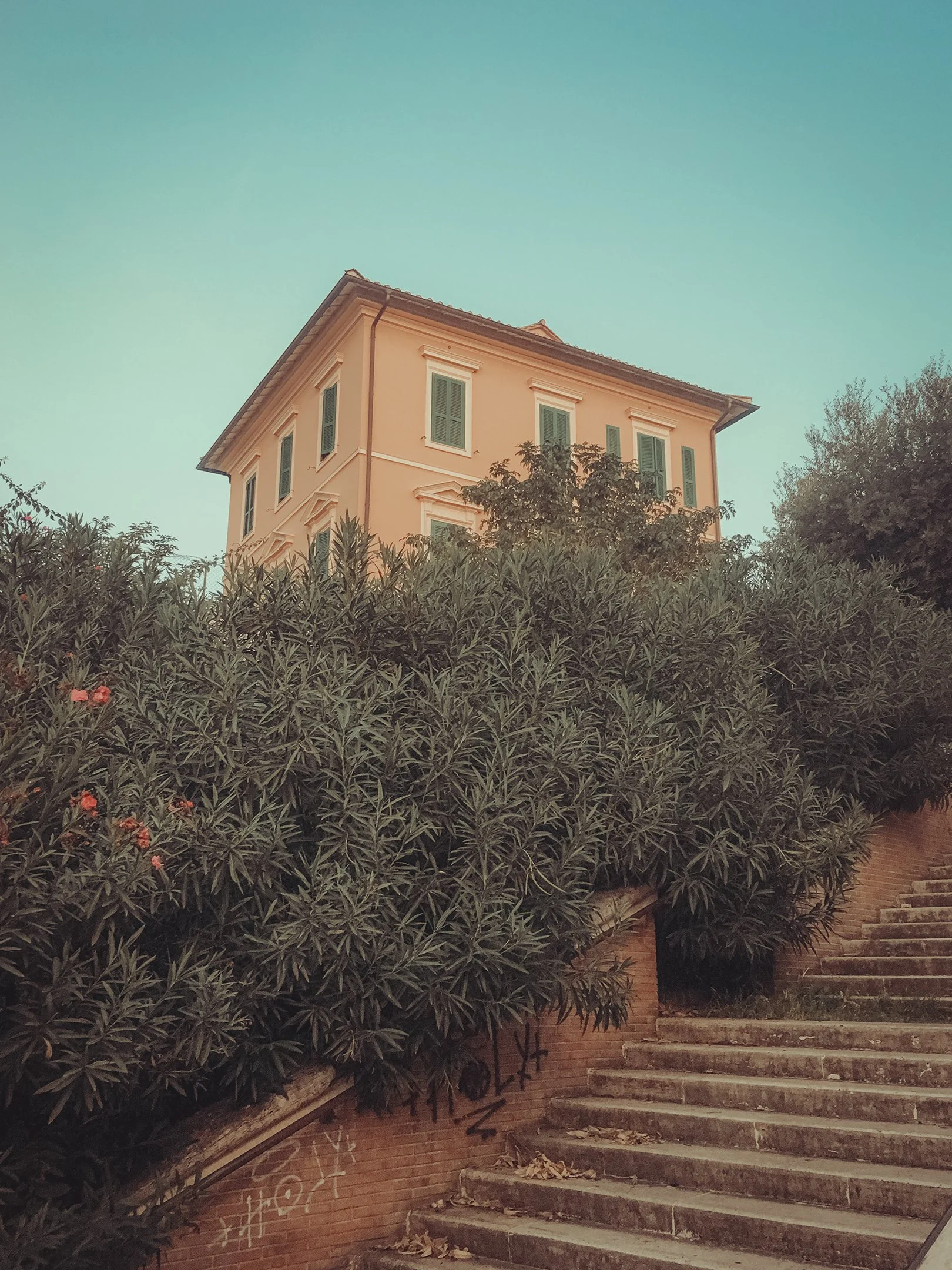 Rome Steps.jpg