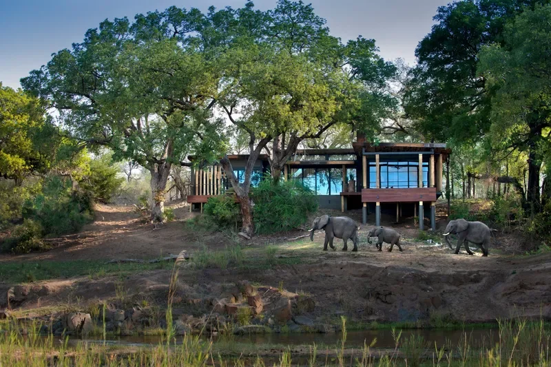 Elephants passing in front of Tengile River Lodge along the Sand River