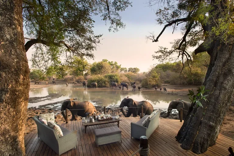 Elephants passing the deck at Kanga Pan, Kanga Expeditions Mana Pools Zimbabwe