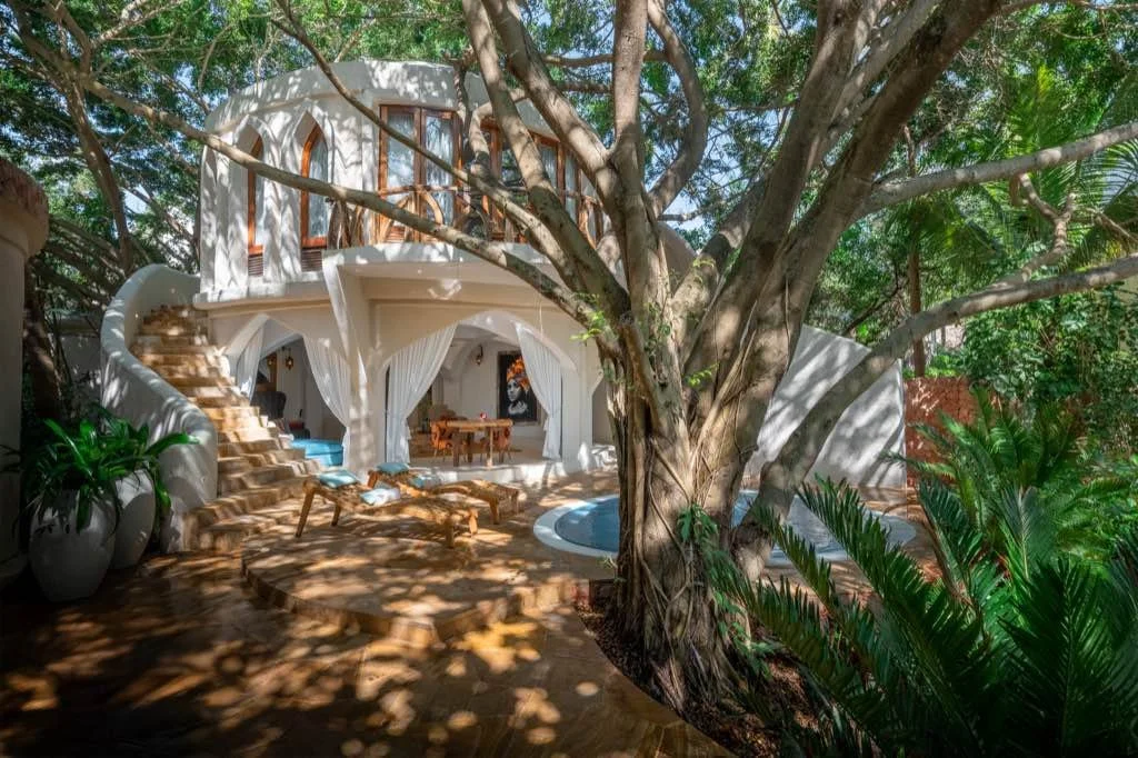 A white, multi-story house with curved architectural features, surrounded by lush greenery and large trees, with outdoor lounge chairs and a patio area.