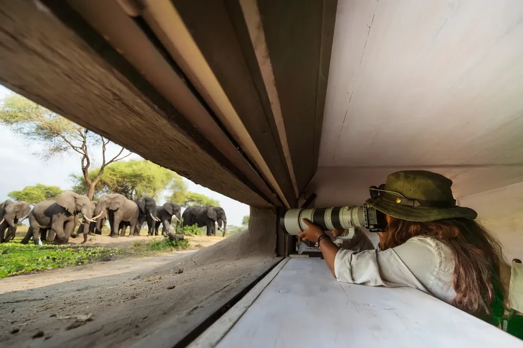 Photographer inside the Little Chem Chem waterhole hide with a herd of elephants, Tanzania photographic safari