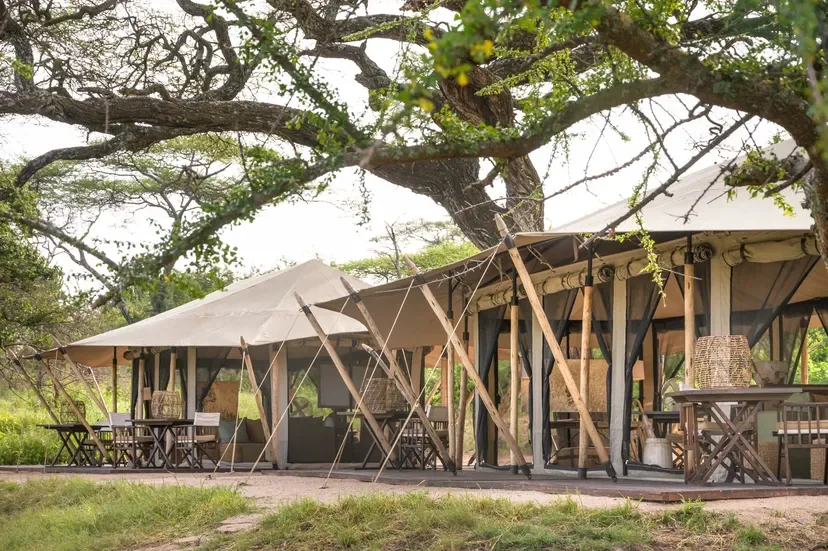 Main dining and relaxation area at Mila Tented Camp, luxury tented camp Serengeti