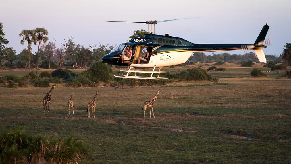 Helicopter scenic flight over the Okavango Delta with giraffe sighting, Atzaro Okavango Camp Botswana