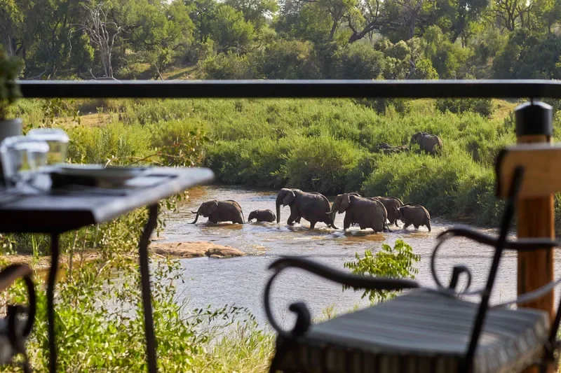 nomara-lion-sands-tinga-lodge-lion-sands-tinga-lodge-deck-elephants-in-river-800w.webp