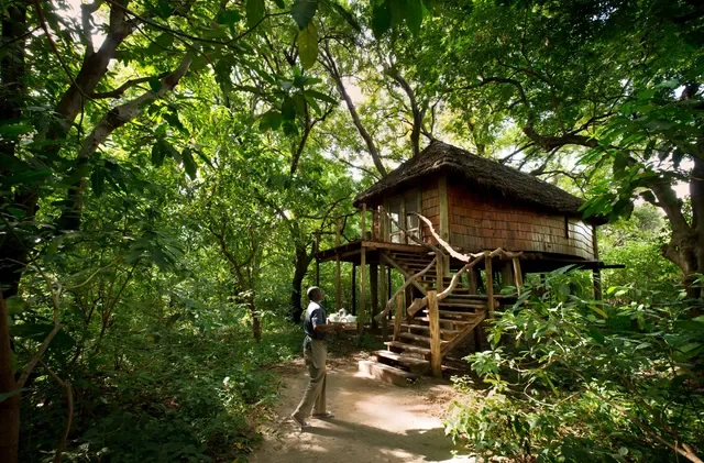Lake Manyara Tree Lodge, Tanzania – stilted treehouse suite nestled in verdant forest