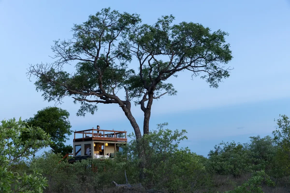 Exterior view of Shilope Sleep Out Deck under a large tree at dusk in Klaserie, Greater Kruger