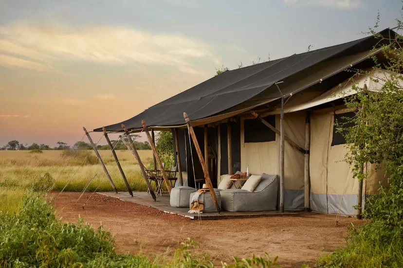 mila-tented-camp-tented-room-exterior-828w.webp