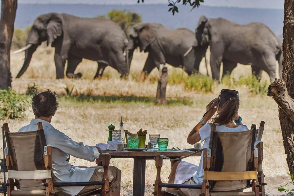 Armchair game viewing with elephants from Little Chem Chem, slow safari style in Tanzania