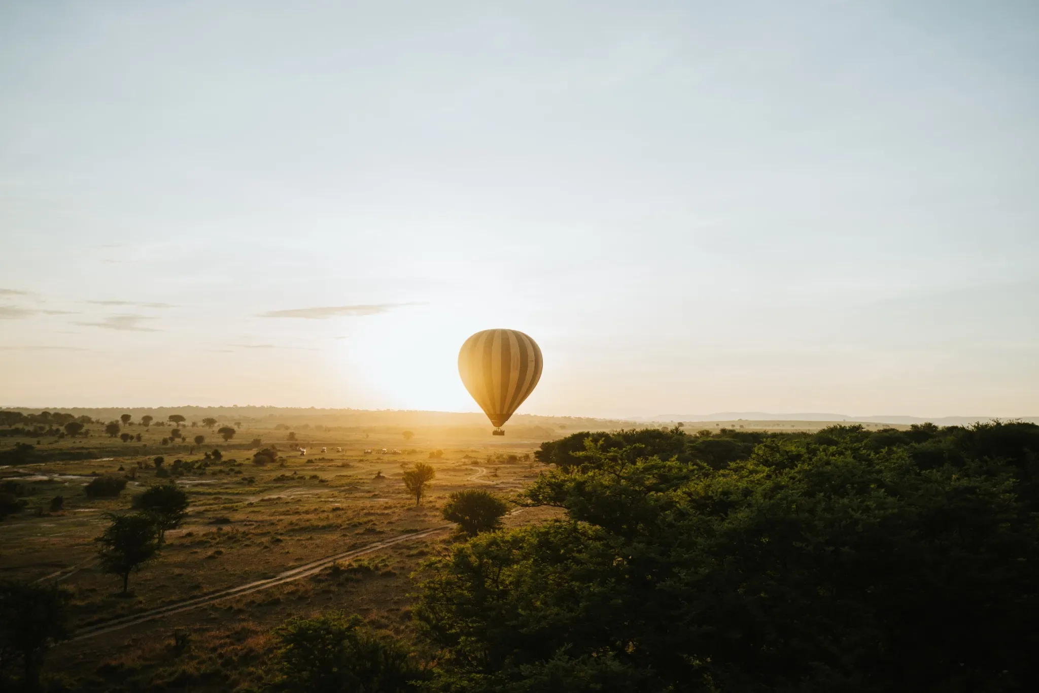 Serengeti National Park