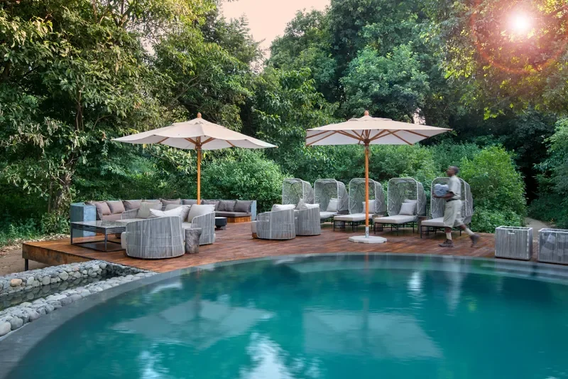 Lake Manyara Tree Lodge, Tanzania – leafy swimming pool deck with daybeds and umbrellas