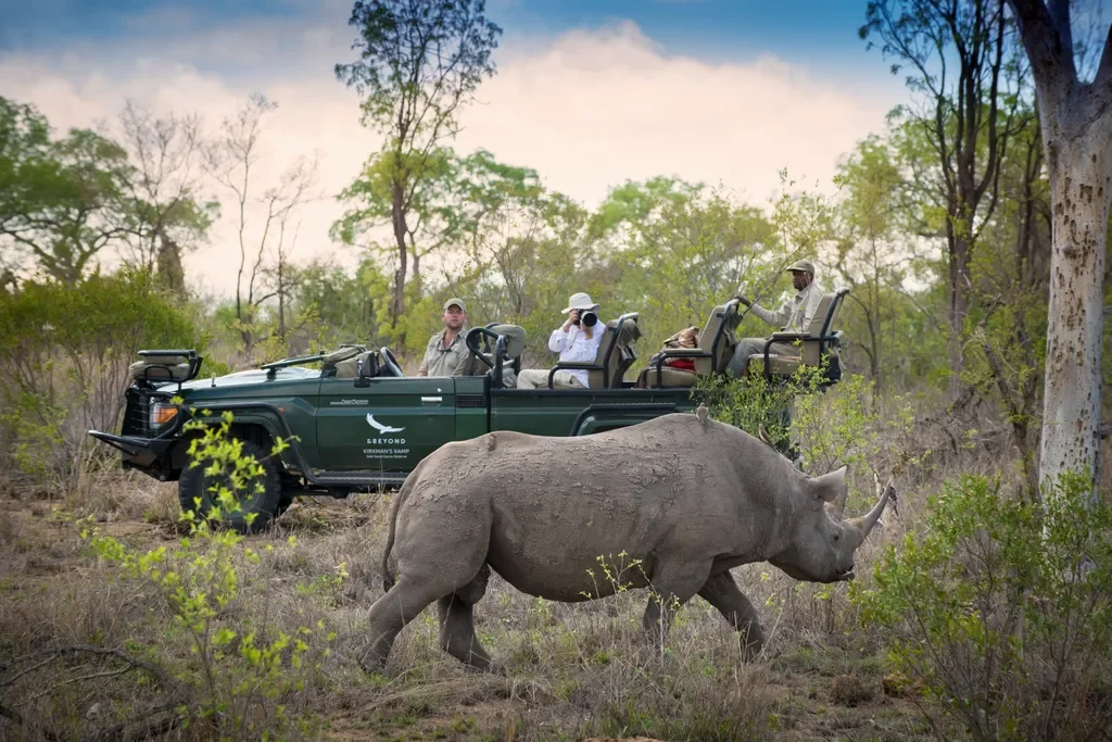 Black rhino sighting on game drive from andBeyond Tengile River Lodge in Sabi Sands