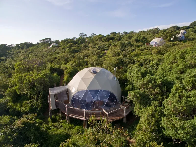 Geodesic dome suite exterior set in montane forest at The Highlands, Ngorongoro