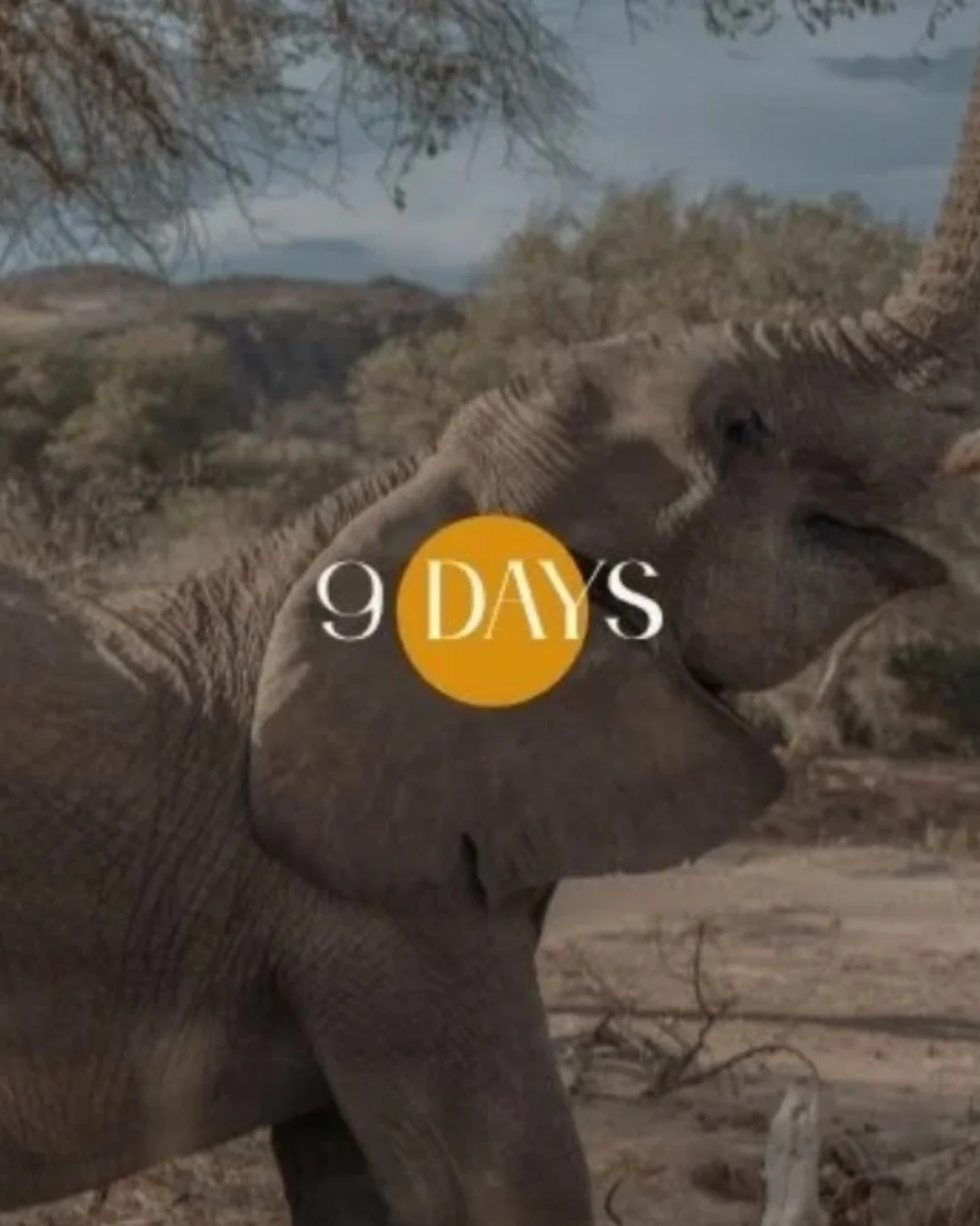 9 days ✨ 

From the dunes of Sossusvlei to the wild beauty of Damaraland. Sleep under endless stars, wake up to desert views, and experience Namibia at its most extraordinary. 🇳🇦🌙

📩 Inquiries &amp; Bookings: 
📧 travel@nomaraafricatravel.com
📱 