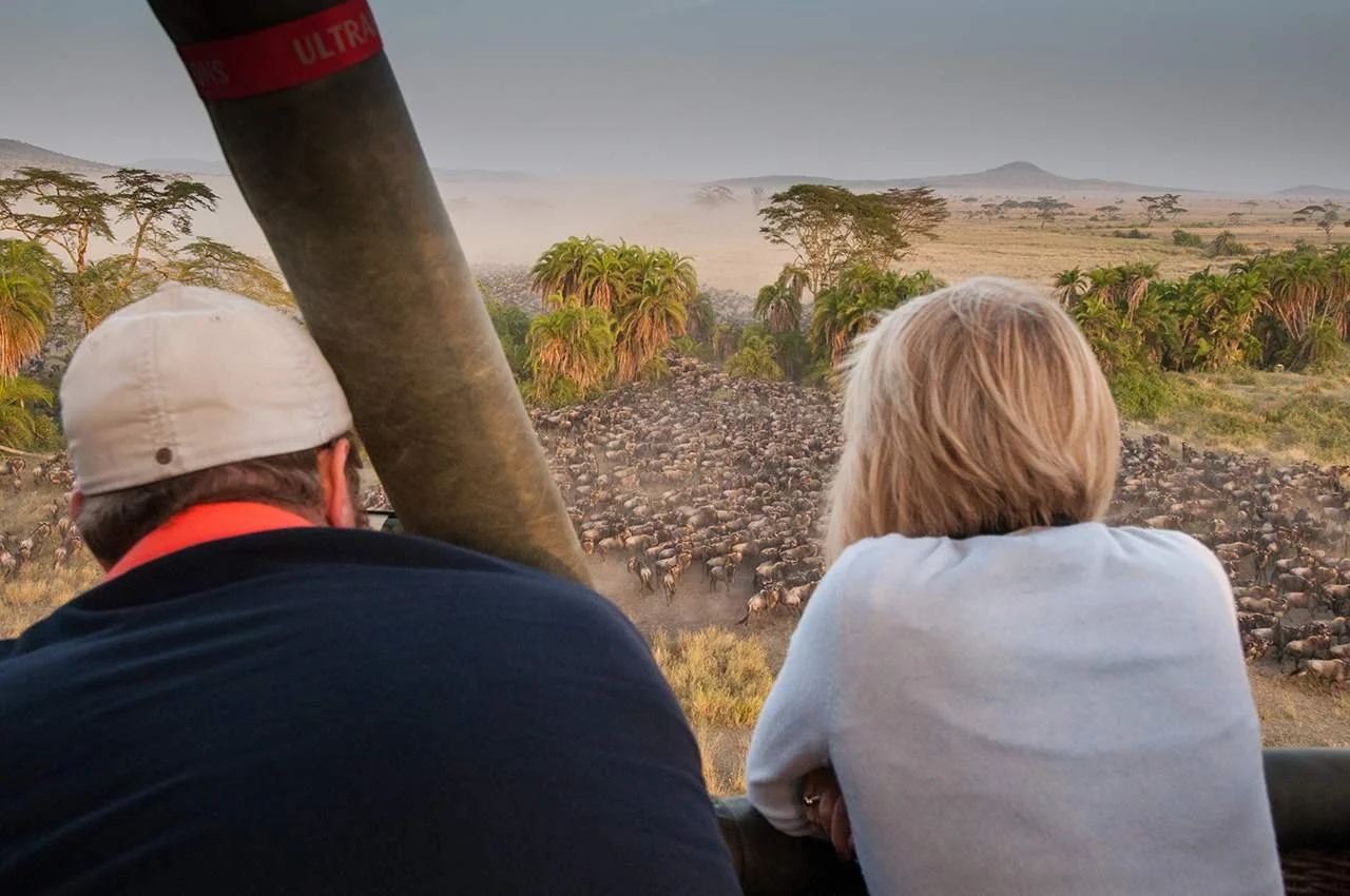 viewing a heard of wildebeest from a hot air balloon