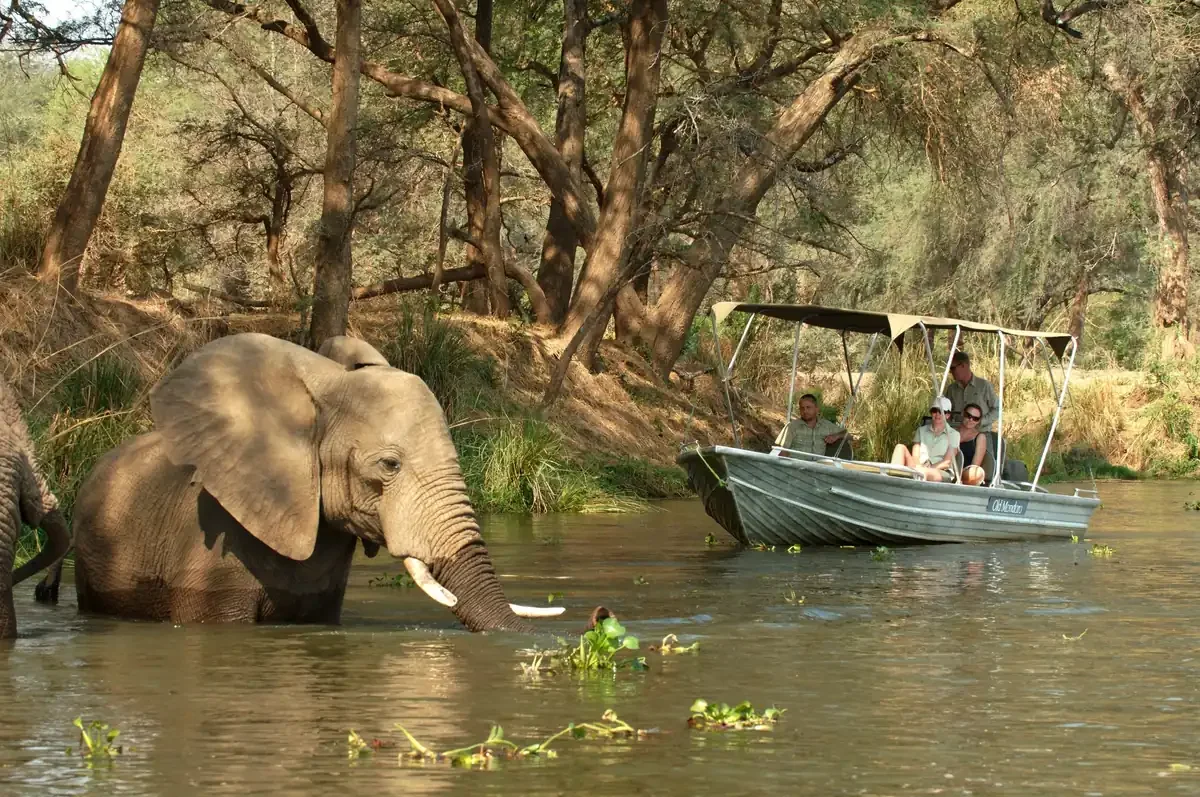 Elephant standing in the river with a safari boat nearby