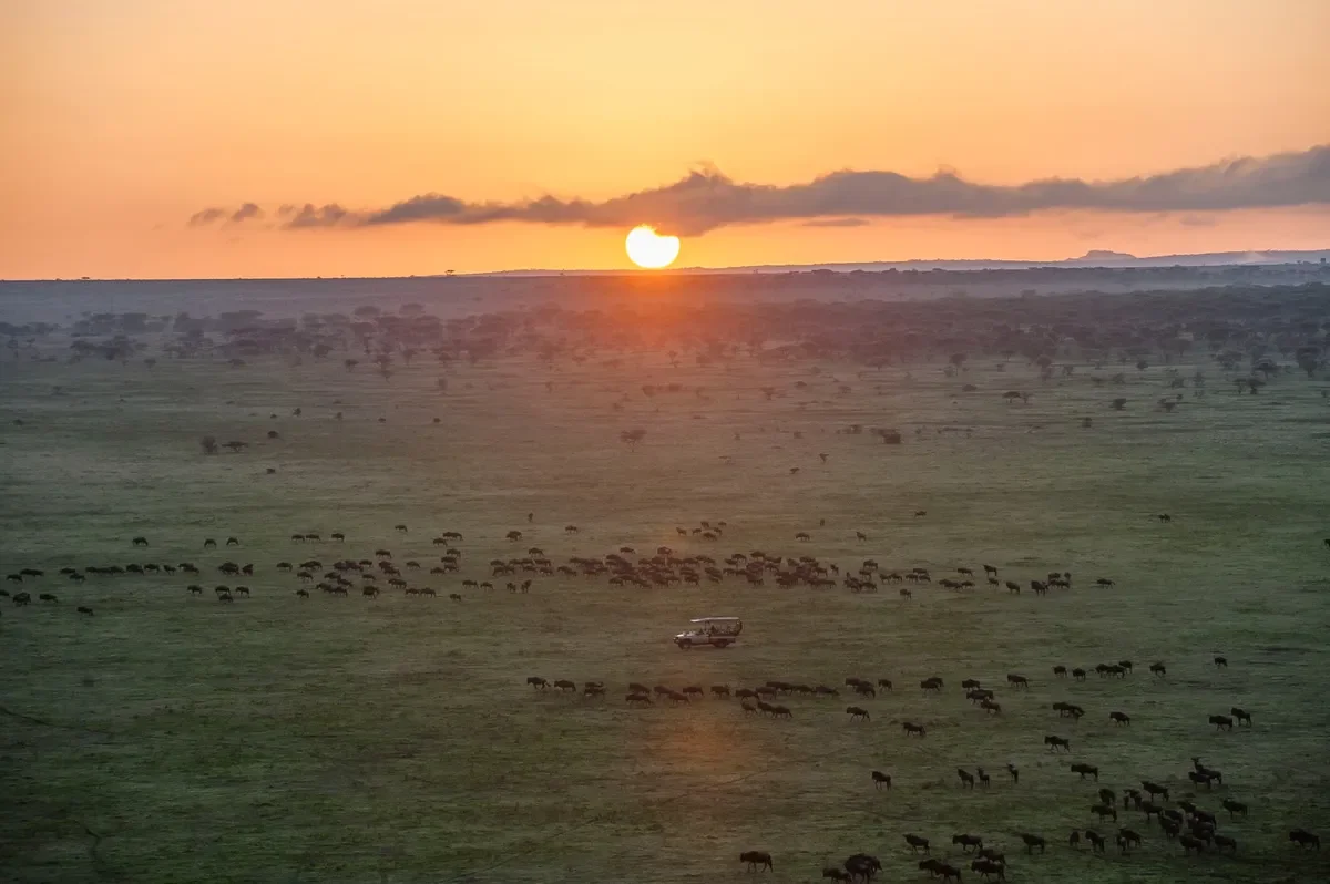 Great Migration herds in Serengeti National Park, Serengeti National Park, Tanzania
