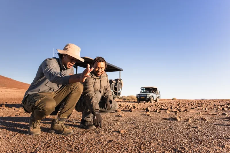 nomara-damaraland-namibia-guides-tracking-desert-rhino-camp-w800.webp