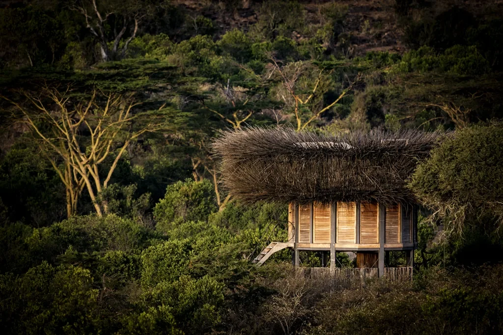 Segera Retreat Nay Palad bird‑nest sleepout in Laikipia, Kenya surrounded by acacia trees