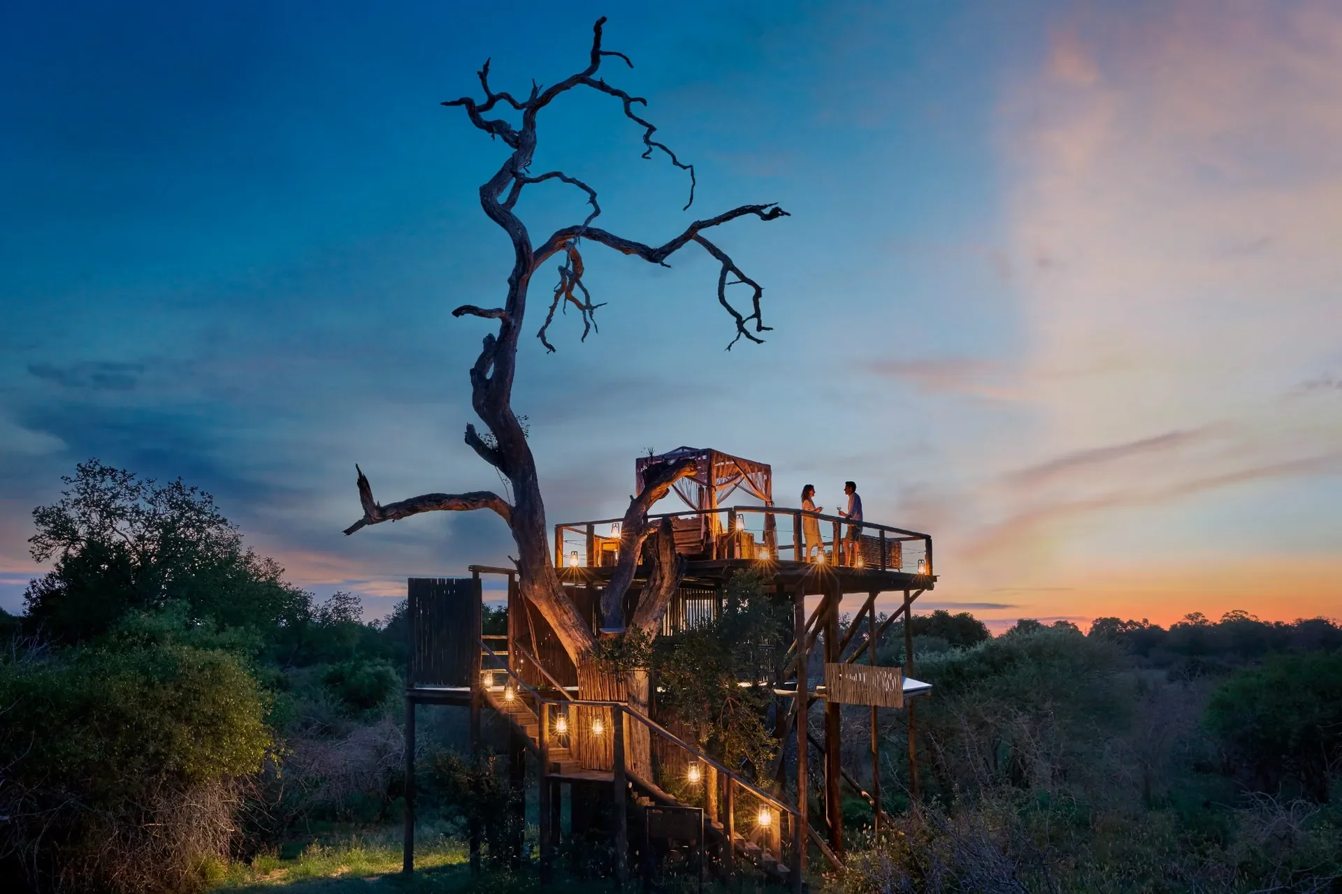Treehouse Sleepout