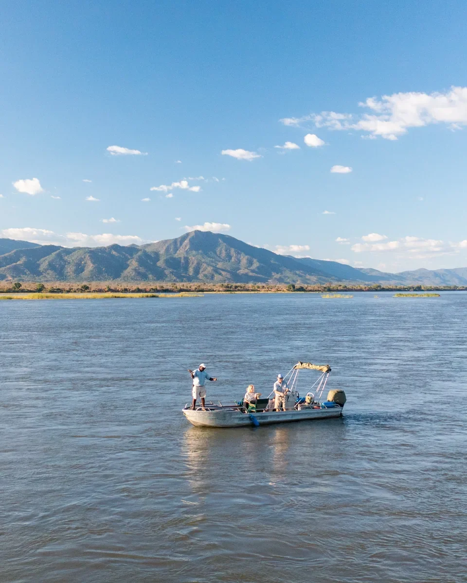 Fly fishing for Tiger fish on the Zambezi river in Zambia