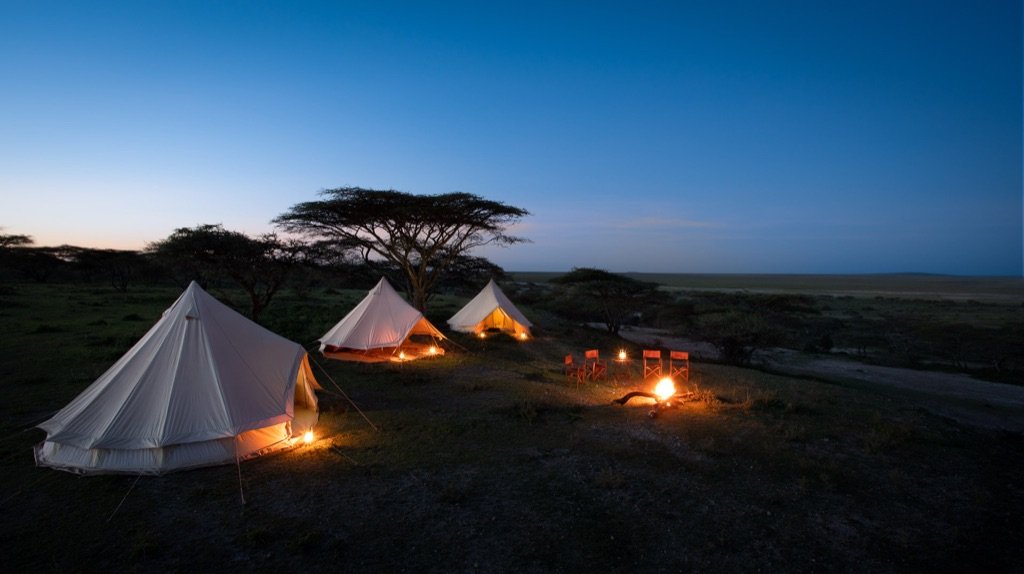 Tents set up outdoors at dusk near a few trees and a dirt road, with campfires and chairs around the fires.