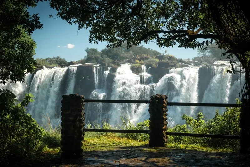 Victoria Falls viewpoint framed by trees, easy day trip from Thorntree River Lodge, Zambia