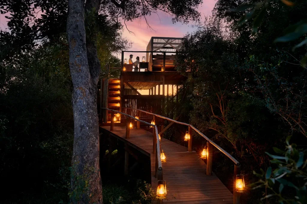 Lantern lined walkway leading to the open air Tinyeleti Treehouse sleepout at Lion Sands, Greater Kruger.