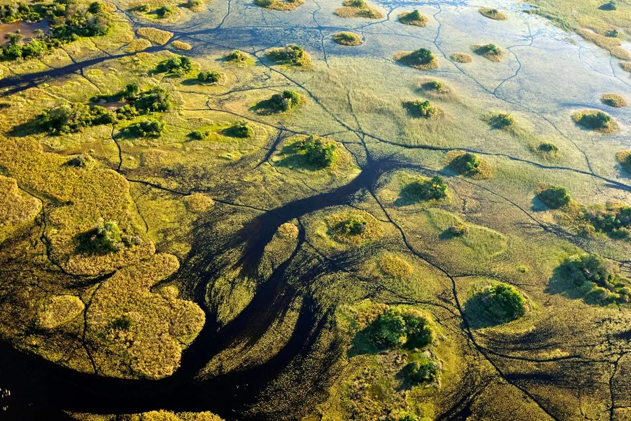 Okavango Delta