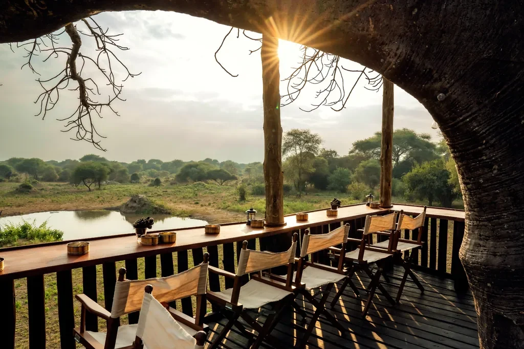 Sunset view from Little Chem Chem baobab lookout deck over the acacia plains near Lake Burunge in Tanzania