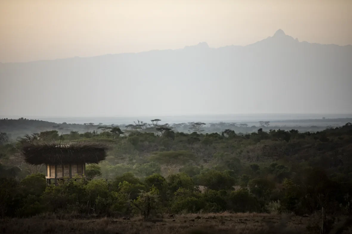 Nay Palad Bird Nest sleepout above the trees, Segera, Laikipia, Kenya, with distant Mount Kenya