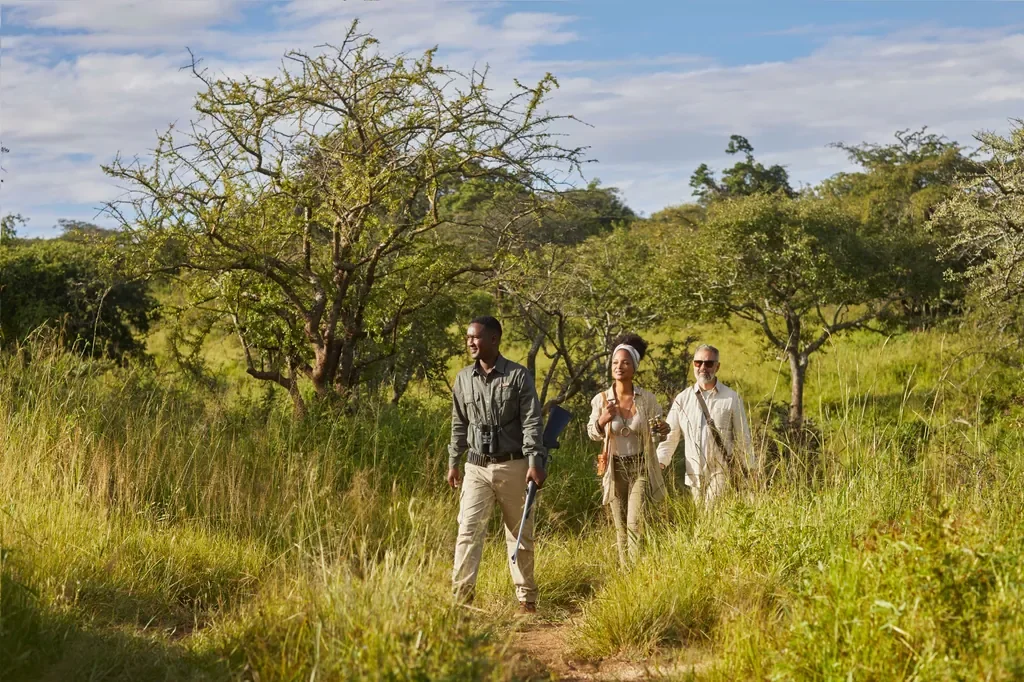 Guided walking safari from Mwiba Lodge through acacia woodland in Tanzania