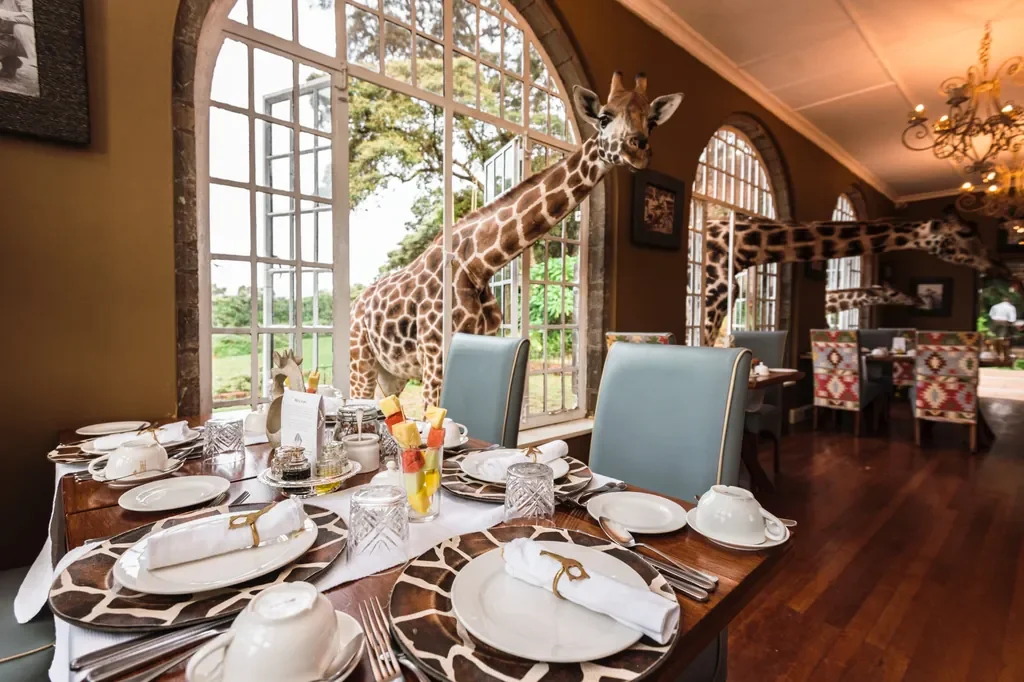 Table set for breakfast as giraffes peer into the dining room at Giraffe Manor Nairobi