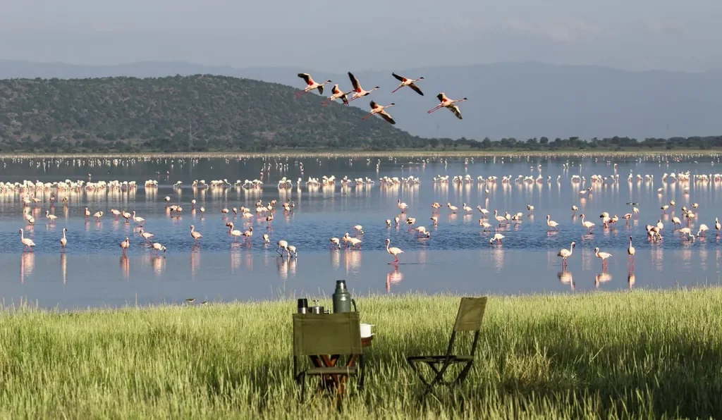 Flamingos on Lake Burunge with picnic setup from Little Chem Chem, northern Tanzania