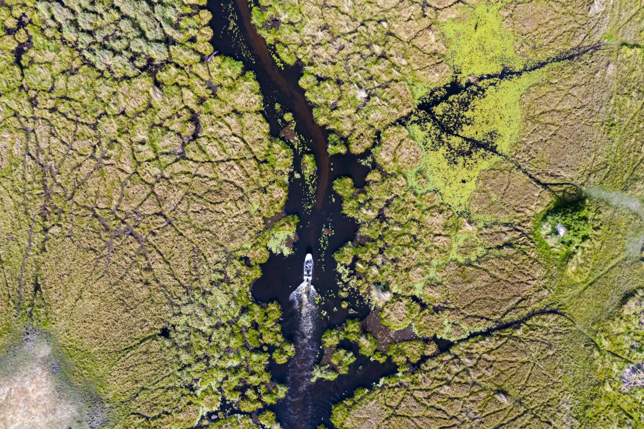 nomara-botswana-okavango-delta-aerial-boat-threading-channels-2560.webp