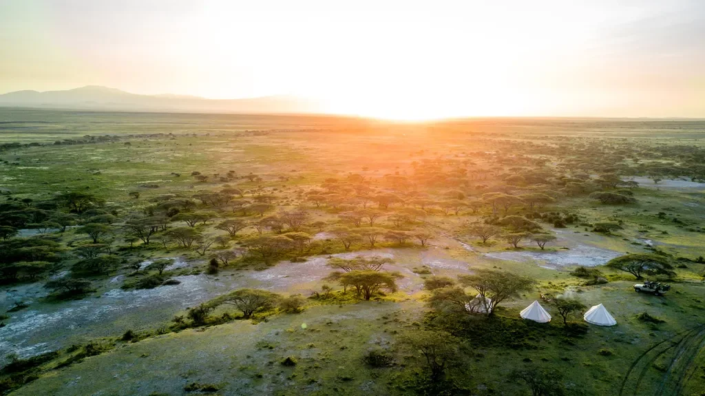 Aerial view of a private fly camp at sunrise on the Serengeti plains, Tanzania