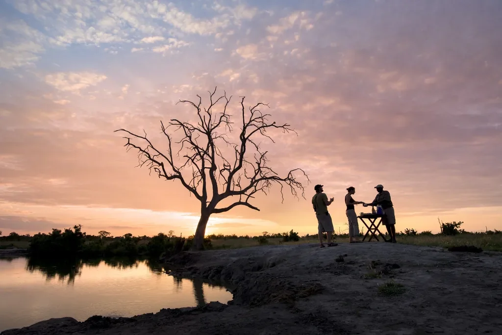 Sundowners beside a pan at sunset with iconic dead tree silhouette, Somalisa Acacia Hwange