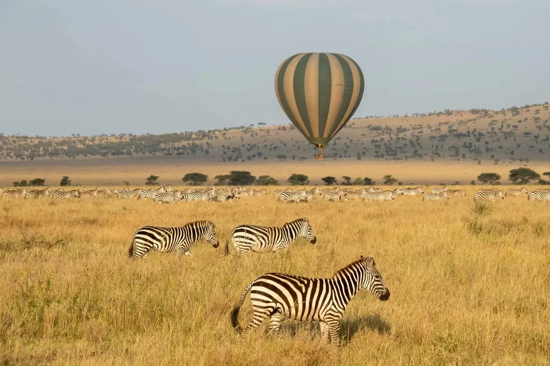 Hot air balloon safari above the Serengeti plains near Mila Tented Camp