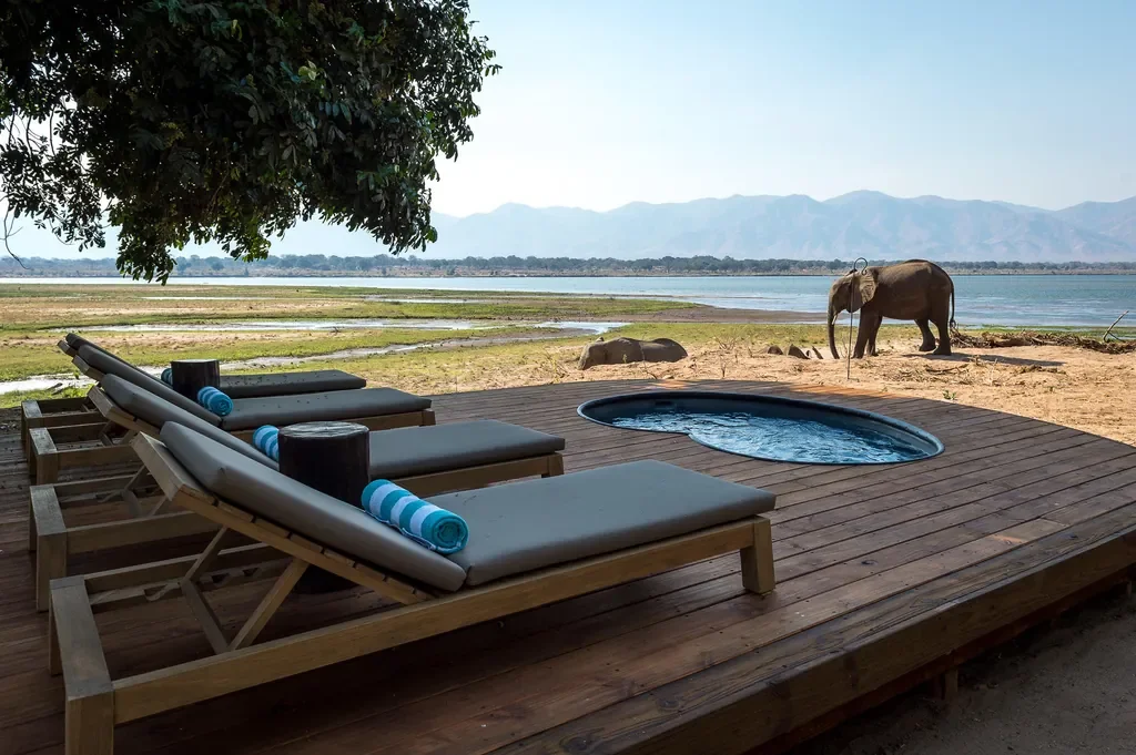 Plunge pool deck with loungers and elephant views at Little Ruckomechi on the Zambezi, Mana Pools National Park, Zimbabwe