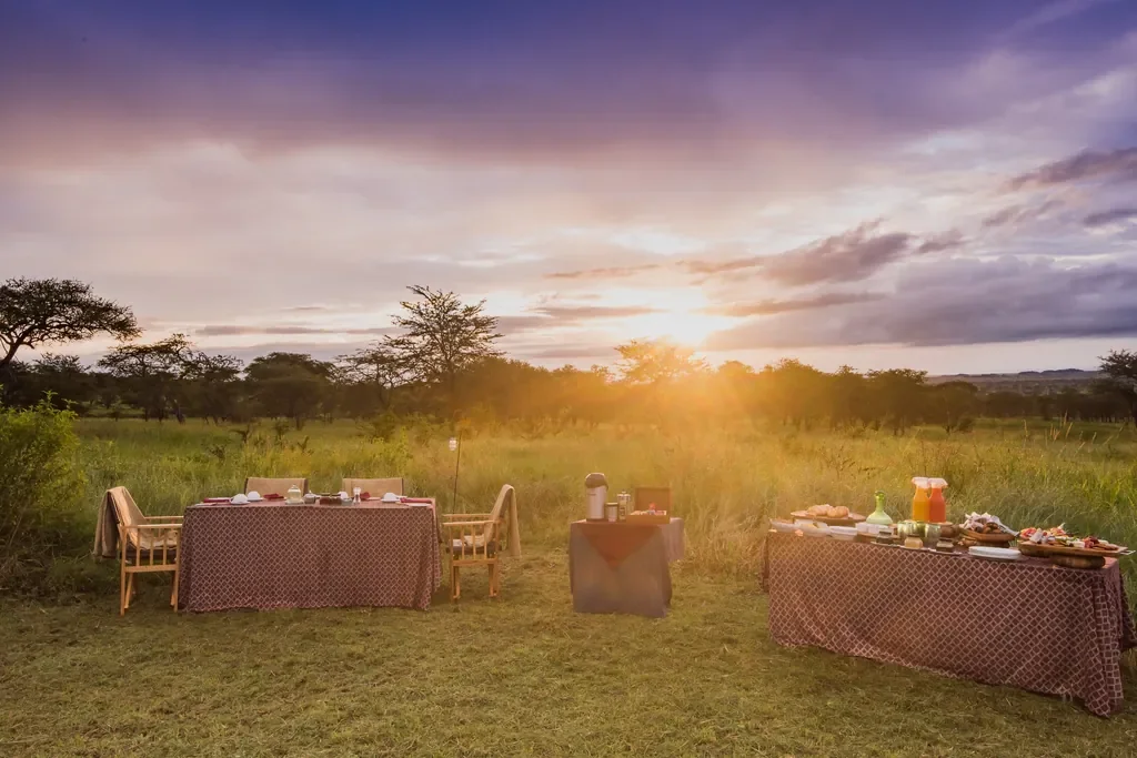 Dunia Camp bush breakfast at sunrise on the Serengeti plains, Tanzania