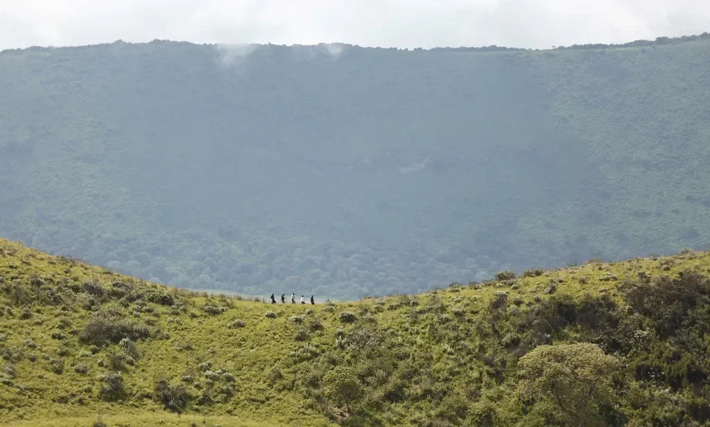 Guided highlands walk along the Olmoti slopes near The Highlands, Ngorongoro