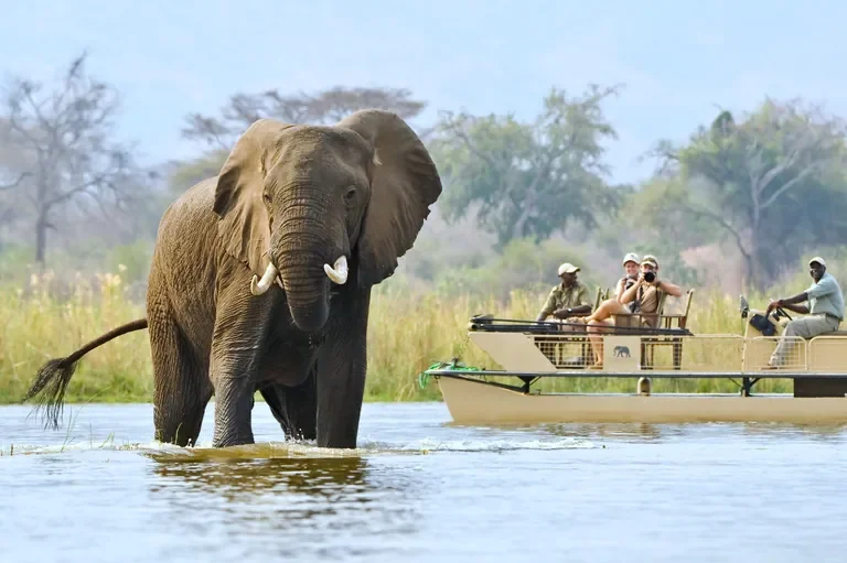 nomara-boat-mokoro-canoe-chobe-elephant-pontoon-768w.webp