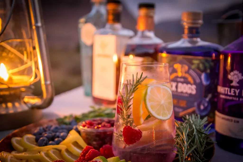 Close-up sundowner cocktail with citrus and berries, Marataba Safari Lodge gin stop