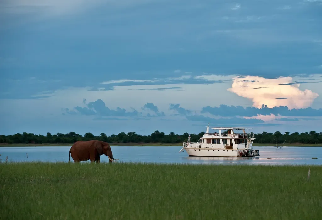 Elephant on Lake Kariba shoreline with Lady Jacqueline houseboat in the background, near Bumi Hills Safari Lodge, Zimbabwe