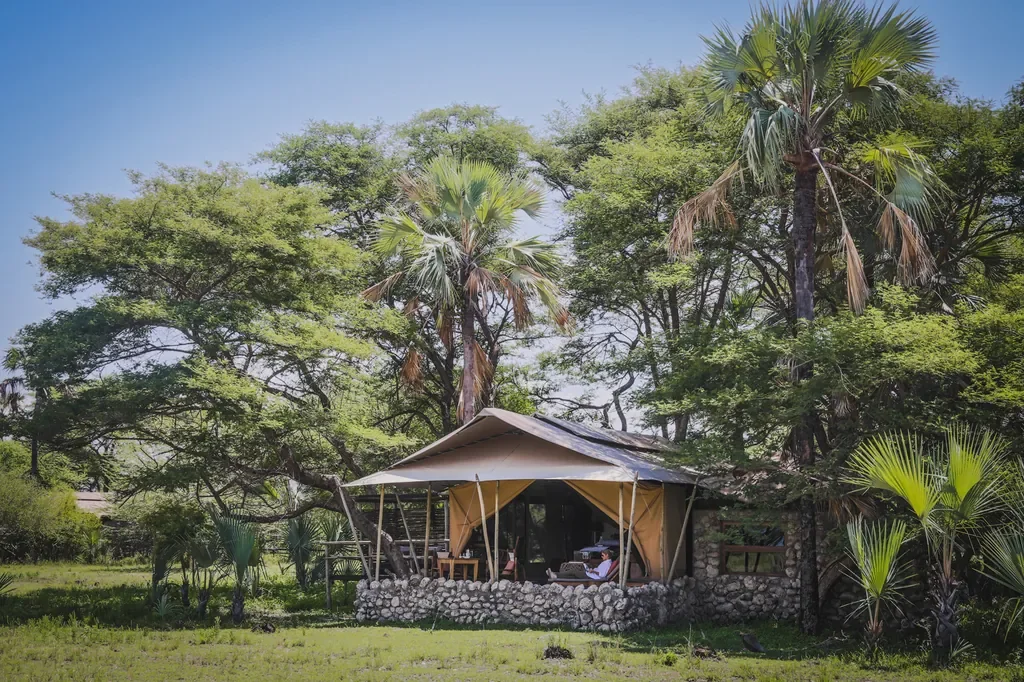 Chem Chem Lodge canvas tent suite surrounded by palms, slow safari relaxation