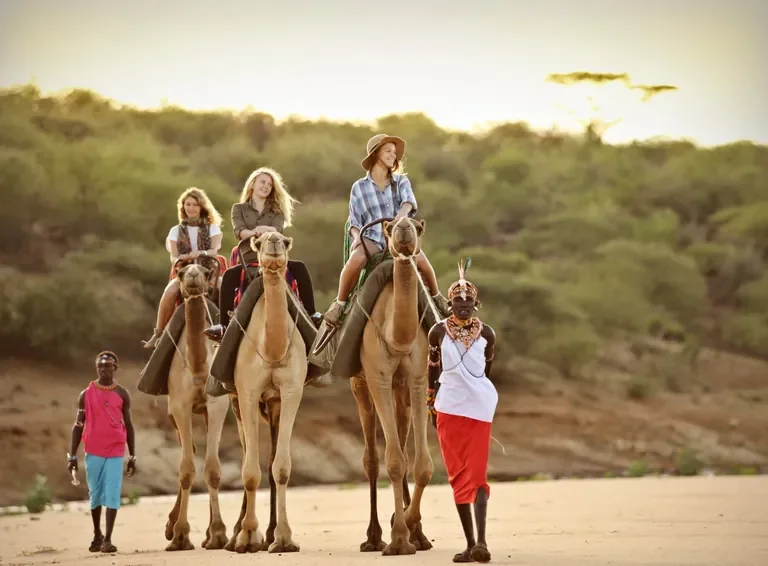 sasaab-samburu-kenya-an-unforgetable-journey-768w.webp