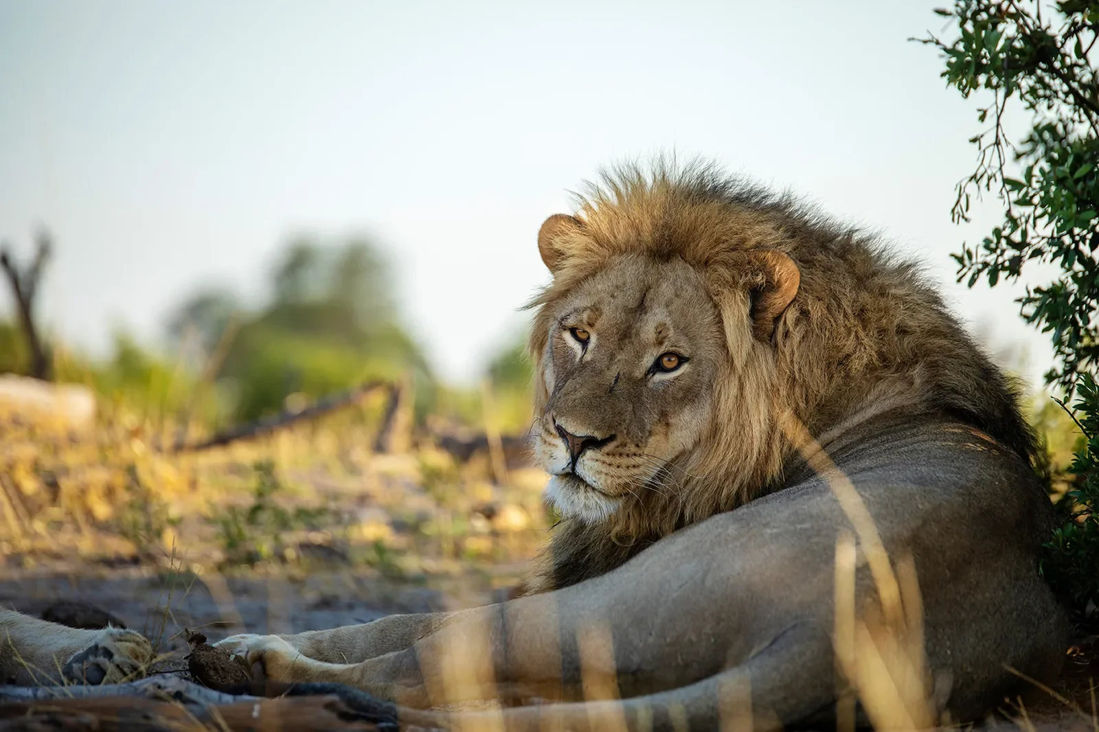 Hwange National Park